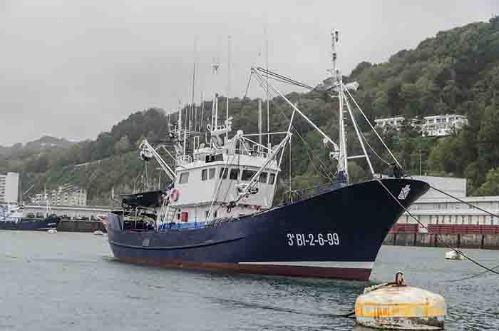 Guipúzcoa - Hondarribia 31 - puerto pesquero.jpg